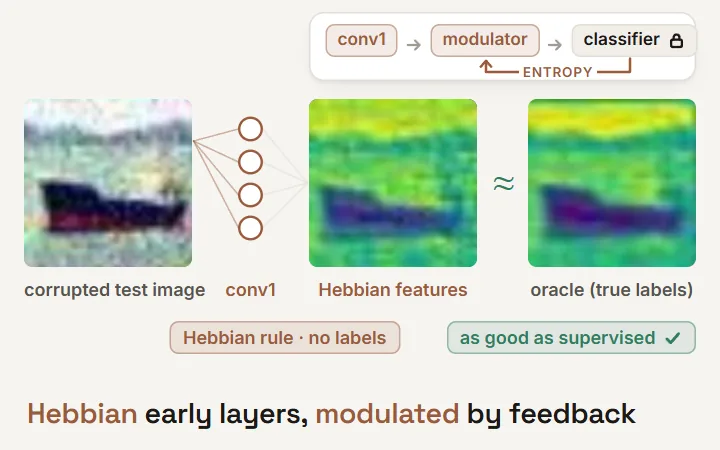 Neuro-modulated Hebbian learning: a corrupted CIFAR-10-C ship breaks the source model's early features; label-free Hebbian learning at test time restores them to match a supervised oracle, and ImageNet-C error falls to 60.4 (TENT 62.7, source 85.7)